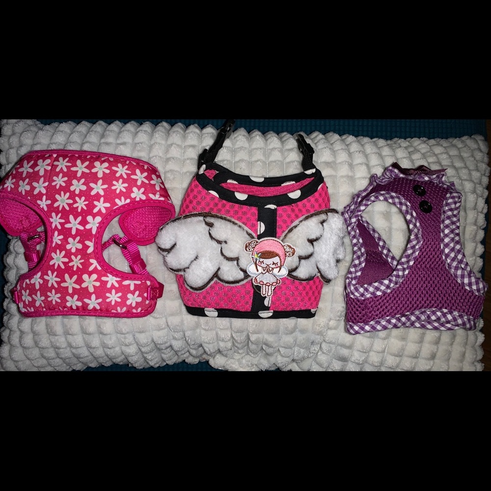 🐶 XS/S  Puppy Small Dog Pet Harness Set of 3 🐶